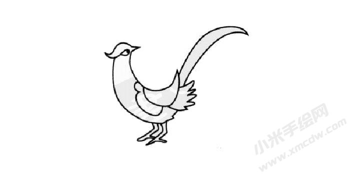 野雞簡筆畫創(chuàng)作步驟03.jpg