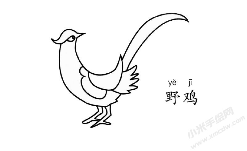 野雞簡筆畫圖片
