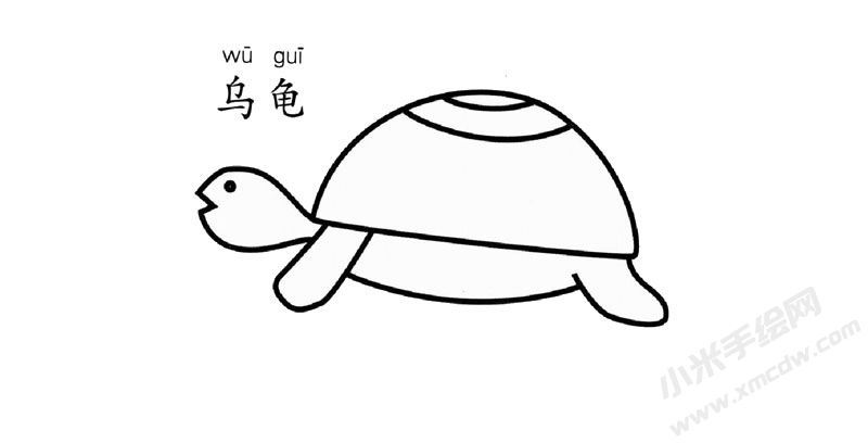 烏龜簡筆畫作品圖片
