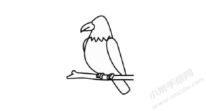 老鷹簡(jiǎn)筆畫(huà)創(chuàng)作步驟02.jpg