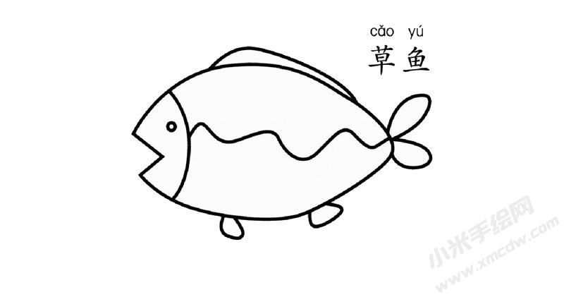 草魚簡筆畫圖片