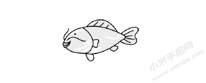 鯉魚簡(jiǎn)筆畫創(chuàng)作步驟03.jpg