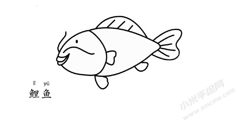 鯉魚簡(jiǎn)筆畫圖片