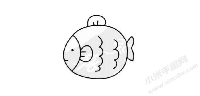 熱帶魚簡筆畫繪制步驟03.jpg