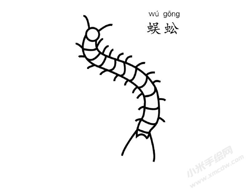 蜈蚣簡筆畫圖片