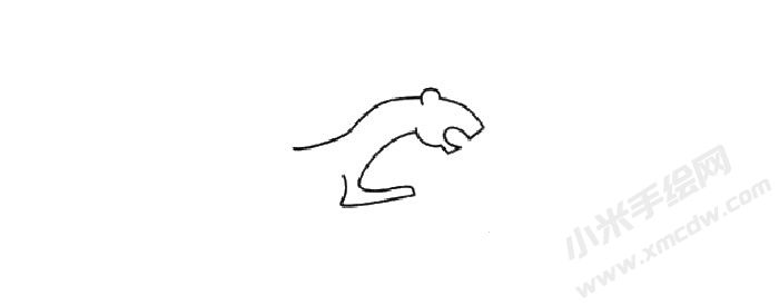 金錢豹簡(jiǎn)筆畫繪制步驟01.jpg