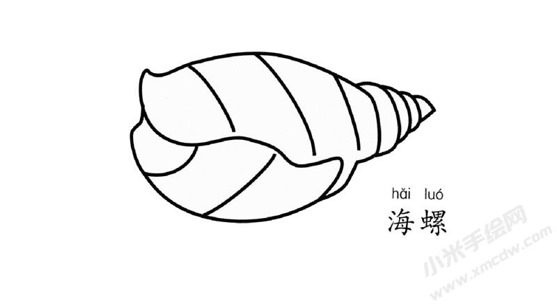 海螺簡筆畫圖片
