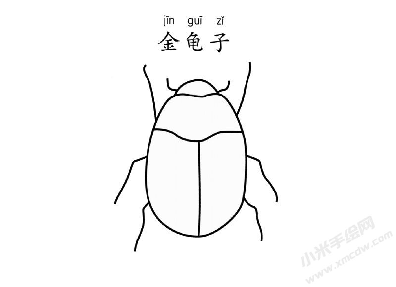 金龜子簡筆畫圖片