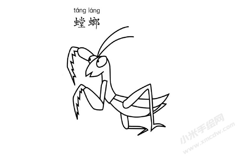 螳螂簡筆畫圖片