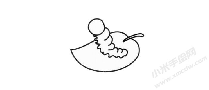 蠶的簡(jiǎn)筆畫繪制步驟01.jpg