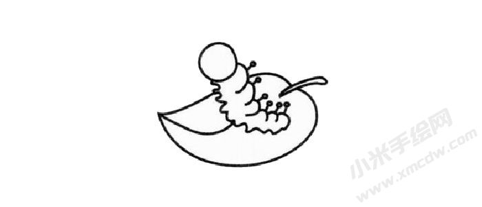 蠶的簡(jiǎn)筆畫繪制步驟02.jpg