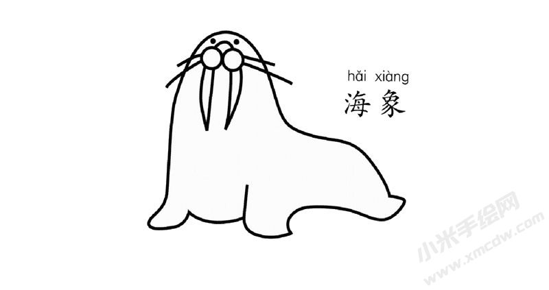 海象簡筆畫圖片