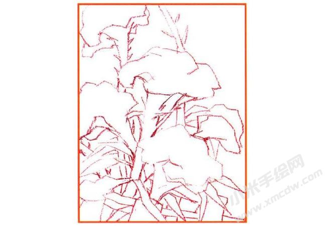 雞冠花油畫棒創(chuàng)作步驟01.jpg