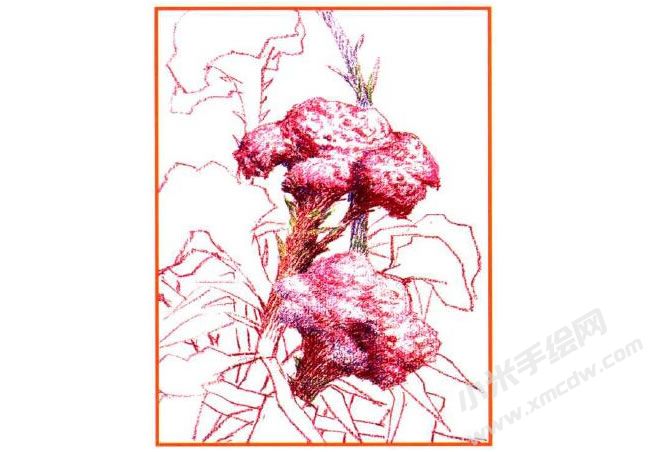 雞冠花油畫棒創(chuàng)作步驟02.jpg