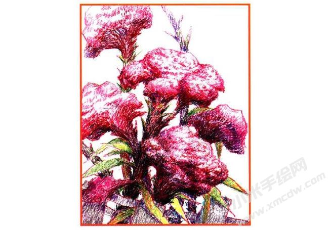 雞冠花油畫棒創(chuàng)作步驟03.jpg