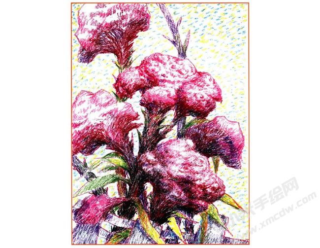 雞冠花油畫棒創(chuàng)作步驟04.jpg