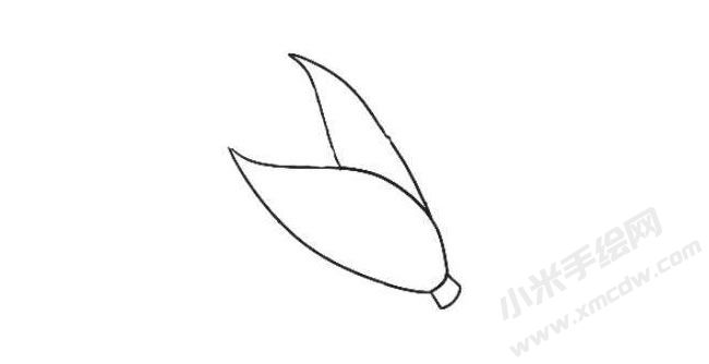 玉米簡(jiǎn)筆畫繪制步驟02.jpg