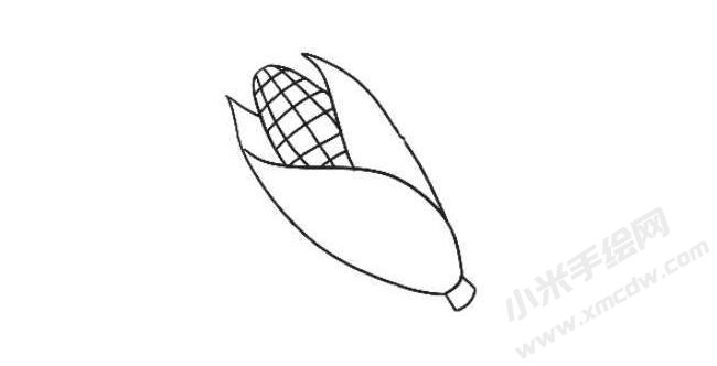 玉米簡(jiǎn)筆畫繪制步驟03.jpg