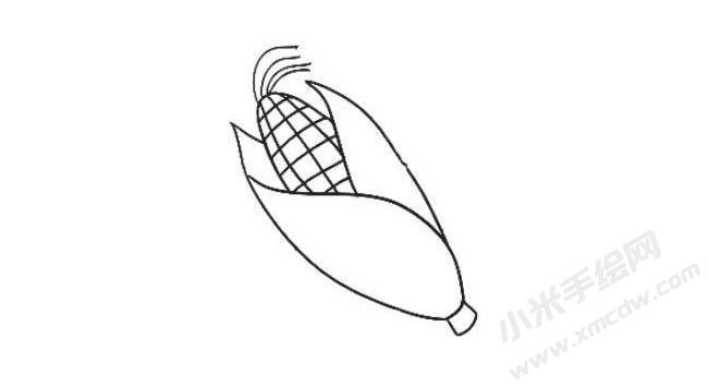 玉米簡(jiǎn)筆畫繪制步驟04.jpg
