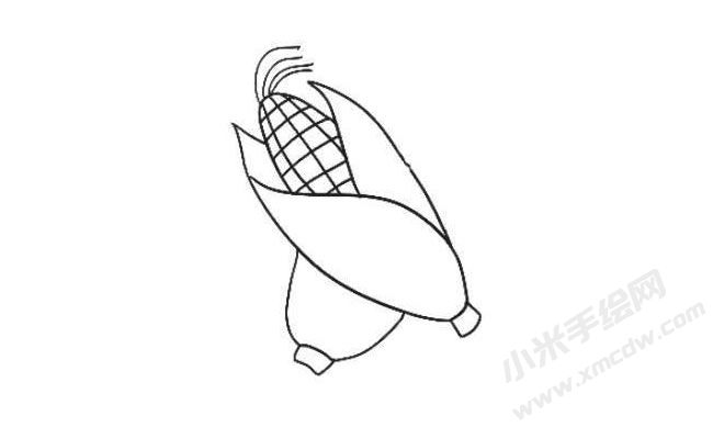 玉米簡(jiǎn)筆畫繪制步驟05.jpg