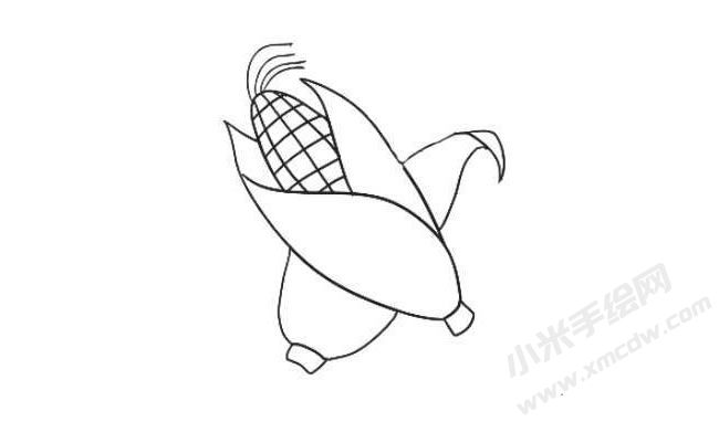 玉米簡(jiǎn)筆畫繪制步驟06.jpg