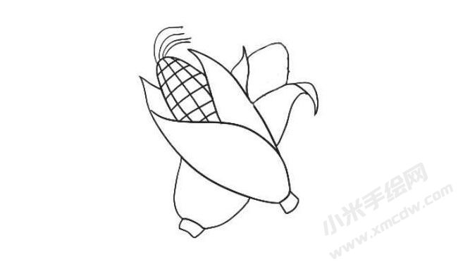 玉米簡(jiǎn)筆畫繪制步驟07.jpg