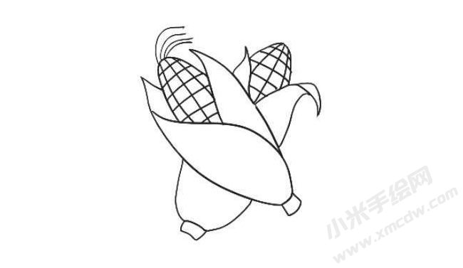 玉米簡(jiǎn)筆畫繪制步驟08.jpg