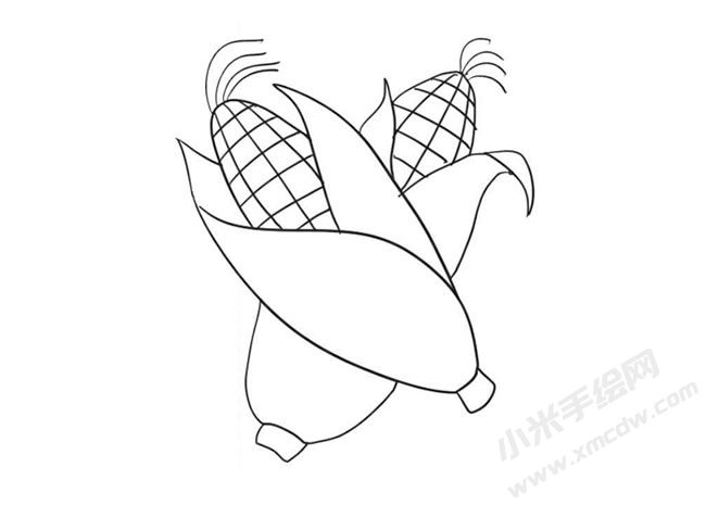 玉米簡(jiǎn)筆畫繪制步驟09.jpg