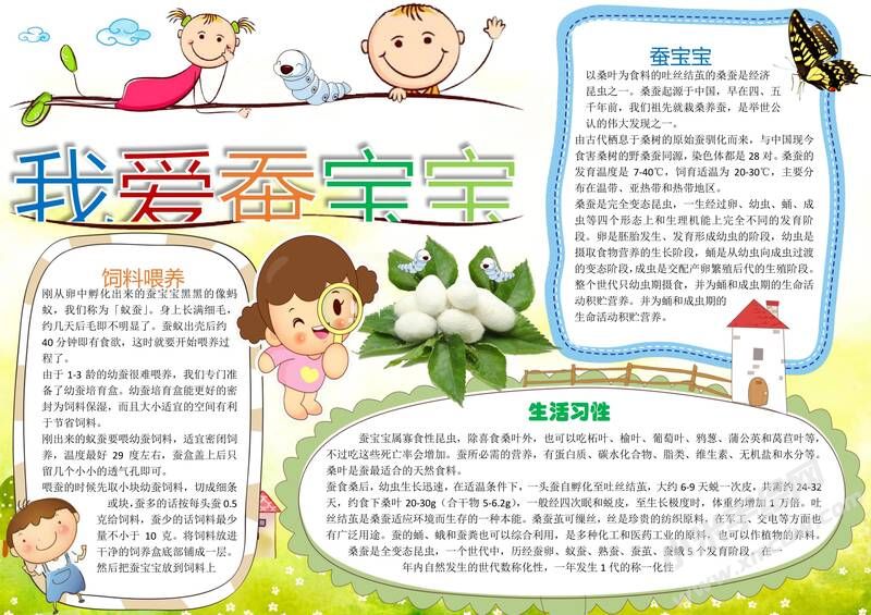 我愛蠶寶寶手抄報模板01.jpg