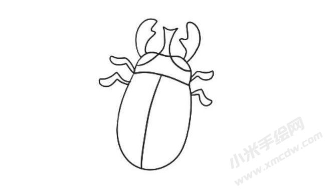 甲蟲(chóng)簡(jiǎn)筆畫(huà)繪制步驟07.jpg