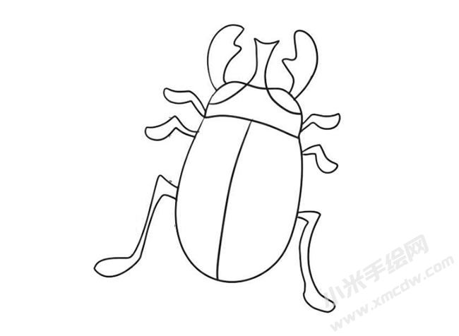甲蟲(chóng)簡(jiǎn)筆畫(huà)繪制步驟09.jpg