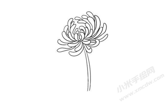 簡筆畫菊花畫法步驟05.jpg