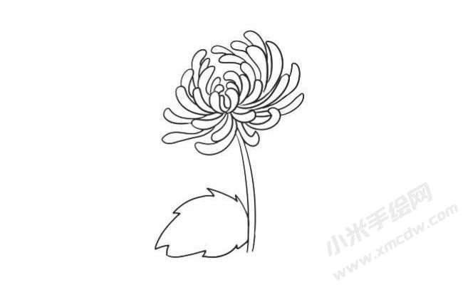 簡筆畫菊花畫法步驟06.jpg