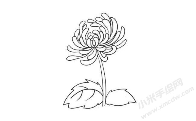 簡筆畫菊花畫法步驟08.jpg