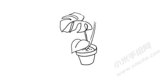 龜背竹簡(jiǎn)筆畫法步驟04.jpg