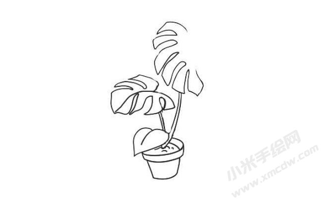 龜背竹簡(jiǎn)筆畫法步驟05.jpg