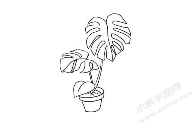 龜背竹簡(jiǎn)筆畫法步驟06.jpg