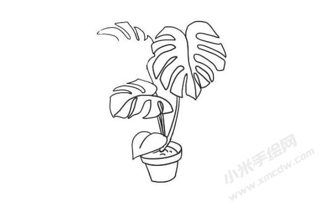 龜背竹簡(jiǎn)筆畫法步驟07.jpg