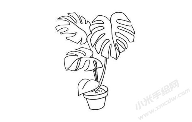 龜背竹簡(jiǎn)筆畫法步驟08.jpg