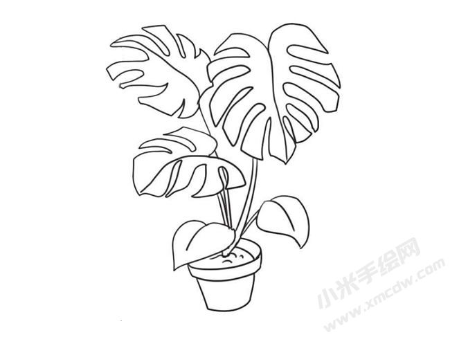 龜背竹簡(jiǎn)筆畫法步驟09.jpg