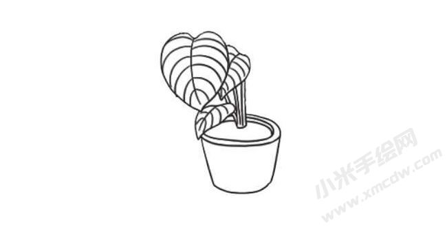 竹芋簡(jiǎn)筆畫(huà)法步驟04.jpg