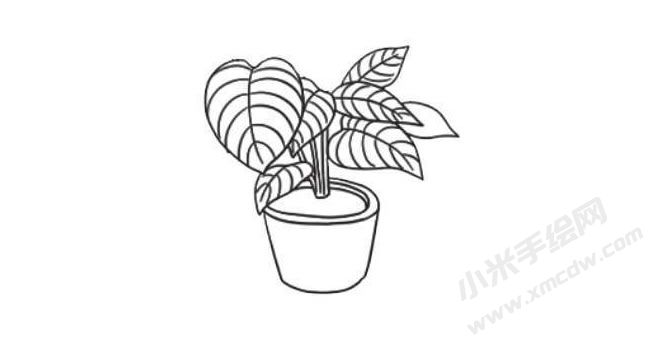 竹芋簡(jiǎn)筆畫(huà)法步驟06.jpg