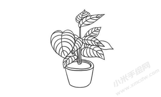 竹芋簡(jiǎn)筆畫(huà)法步驟07.jpg