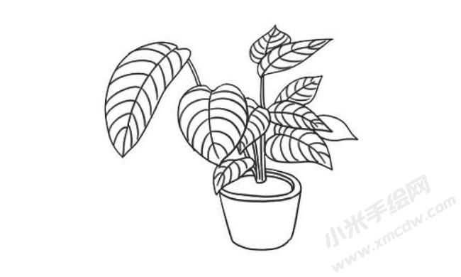 竹芋簡(jiǎn)筆畫(huà)法步驟08.jpg