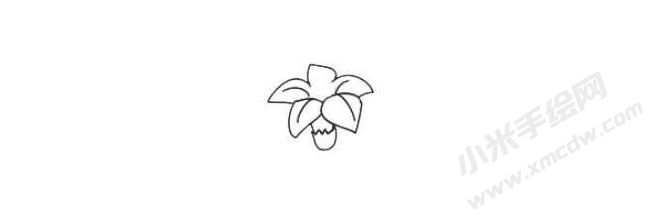 水仙花簡筆畫法步驟01.jpg