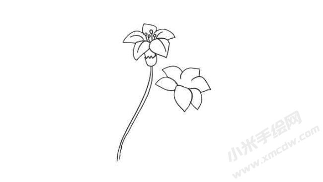 水仙花簡筆畫法步驟03.jpg