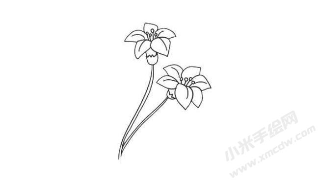 水仙花簡筆畫法步驟05.jpg