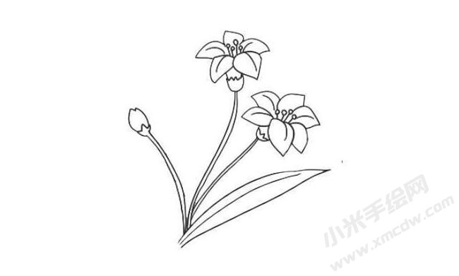水仙花簡筆畫法步驟08.jpg