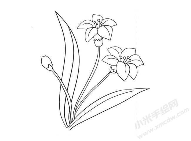 水仙花簡筆畫法步驟09.jpg
