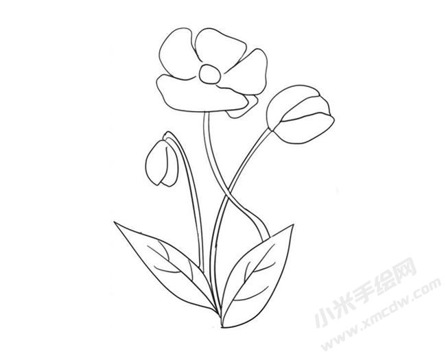 虞美人簡筆畫法步驟09.jpg